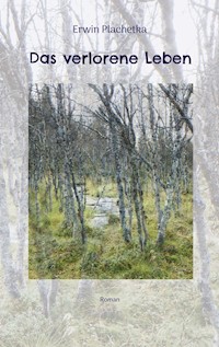 Das verlorene Leben - Erwin Plachetka - E-Book