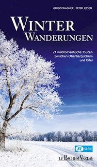 Winterwanderungen - Guido Wagner - E-Book