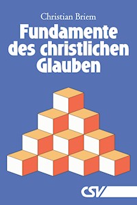 Fundamente des christlichen Glauben - Christian Briem - E-Book