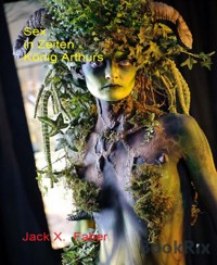 Sex in Zeiten König Arthurs - Jack X. Faber - E-Book