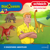 Folgen 15-16: Auf Spurensuche - Antje Seibel - Hörbuch