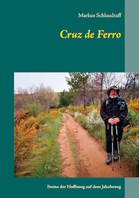 Cruz de Ferro - Markus Schlaudraff - E-Book