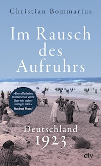Im Rausch des Aufruhrs - Christian Bommarius - E-Book