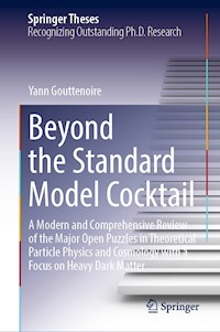 Beyond the Standard Model Cocktail - Yann Gouttenoire - E-Book