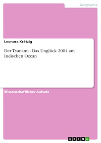 Der Tsunami - Das Unglück 2004 am Indischen Ozean - Leonora Krätzig - E-Book