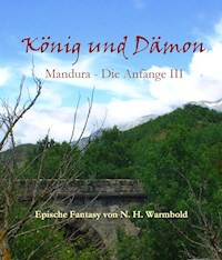 König und Dämon - N. H. Warmbold - E-Book