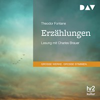 Erzählungen - Theodor Fontane - Hörbuch