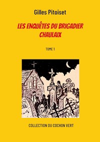 Les enquêtes du brigadier Chaulaix - Gilles Pitoiset - E-Book