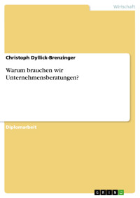 Warum brauchen wir Unternehmensberatungen? - Christoph Dyllick-Brenzinger - E-Book