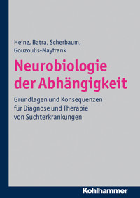 Neurobiologie der Abhängigkeit - Andreas Heinz - E-Book