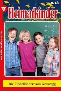 Die Findelkinder vom Kreuzegg - Anne Altenried - E-Book