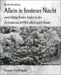 Allein in finsterer Nacht - Renate Kronberg - E-Book