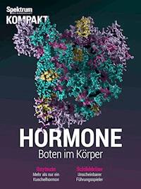 Spektrum Kompakt - Hormone - - E-Book