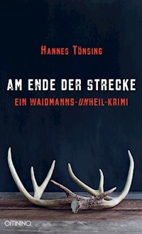 Am Ende der Strecke - Hannes Tönsing - E-Book
