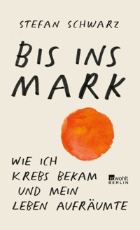 Bis ins Mark - Stefan Schwarz - E-Book