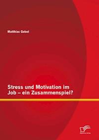 Stress und Motivation im Job – ein Zusammenspiel? - Matthias Gebel - E-Book