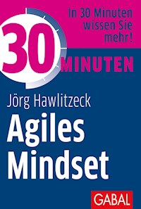 30 Minuten Agiles Mindset - Jörg Hawlitzeck - E-Book