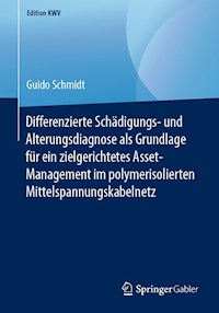 Differenzierte Schädigungs- und Alterungsdiagnose als Grundlage für ein zielgerichtetes Asset-Management im polymerisolierten Mittelspannungskabelnetz - Guido Schmidt - E-Book