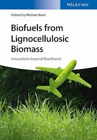 Biofuels from Lignocellulosic Biomass - Michael Boot - E-Book
