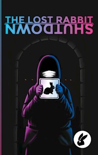 The lost rabbit - Annòn Noore - E-Book