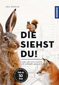 Die siehst du - Die Tiere um dich herum - Ralf Bürglin - E-Book