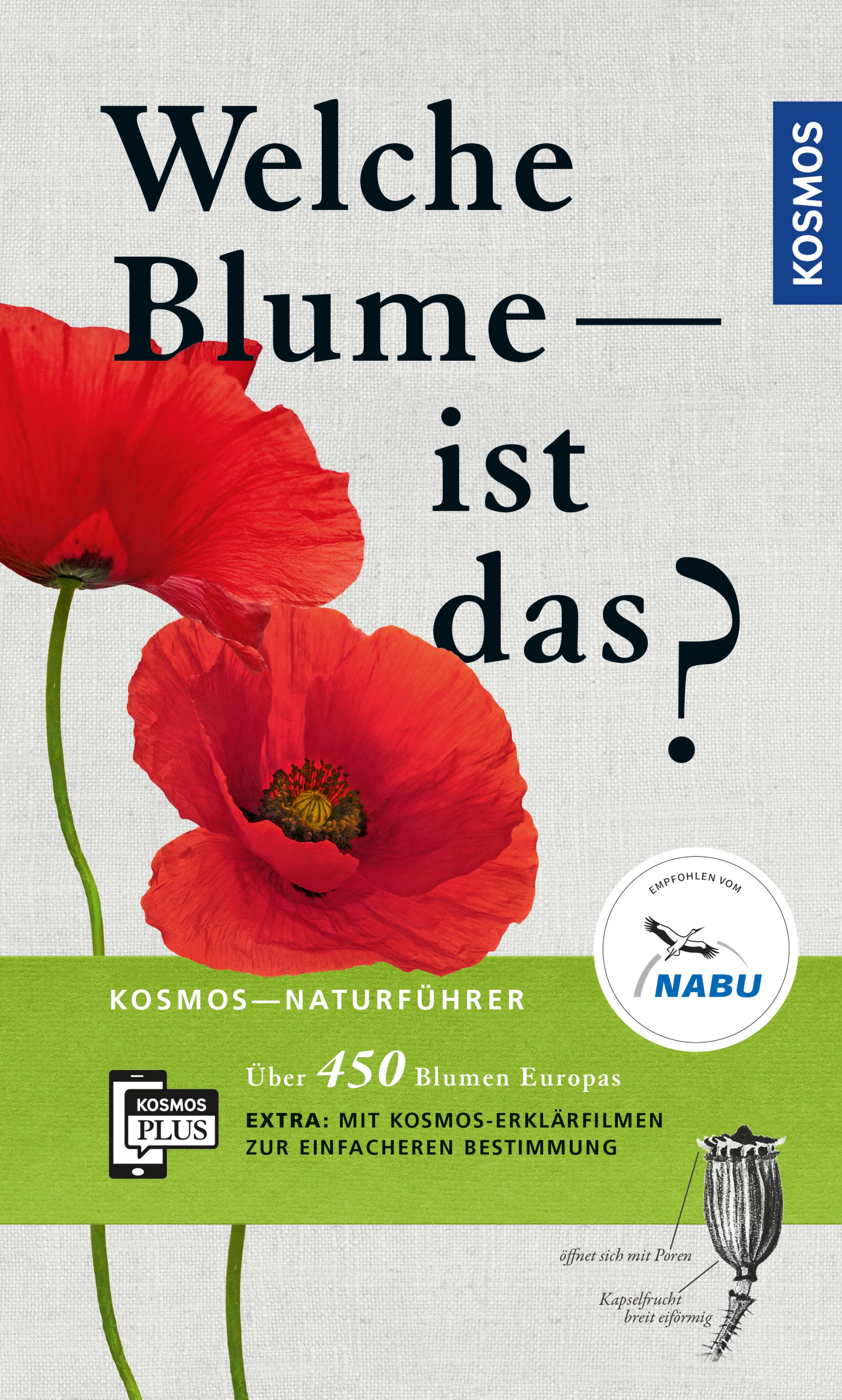 Welche Blume ist das? - Margot Spohn - E-Book