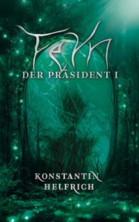Feyn - Konstantin Helfrich - E-Book