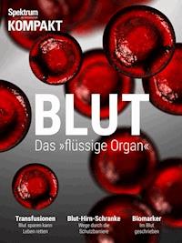 Spektrum Kompakt - Blut - Spektrum der Wissenschaft - E-Book