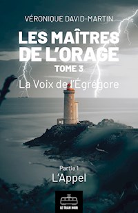Les Maîtres de l'orage - Tome 3 : Partie 1 - Véronique David-Martin - E-Book