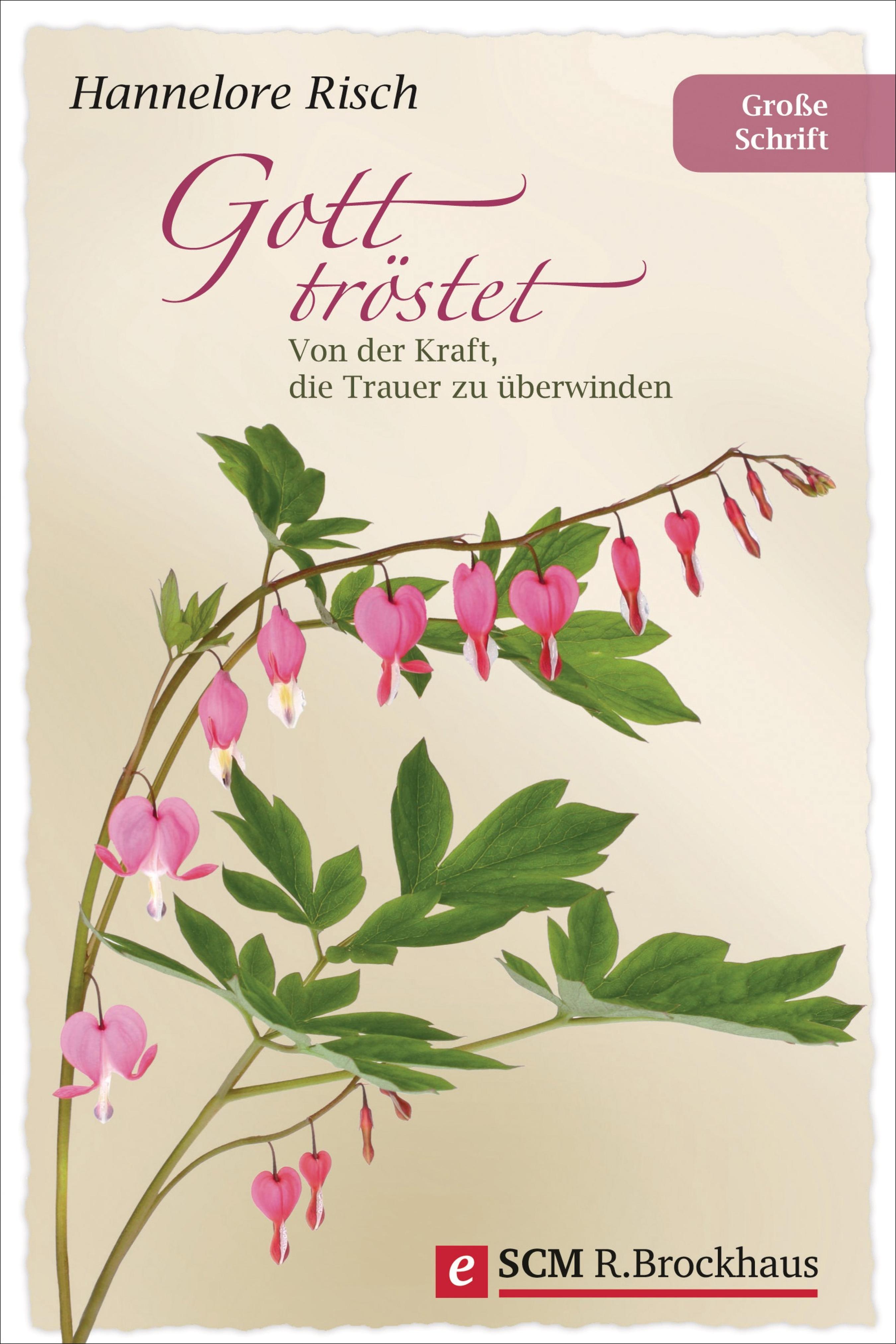Gott tröstet - Hannelore Risch - E-Book