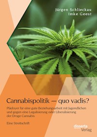 Cannabispolitik – quo vadis? Plädoyer für eine gute Beziehungsarbeit mit Jugendlichen und gegen eine Legalisierung oder Liberalisierung der Droge Cannabis - Jürgen Schlieckau - E-Book