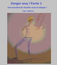Danger sexy ! - Inge Homberg - E-Book