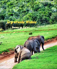 Ergreifende Wildnis - Angelika Friedemann - E-Book