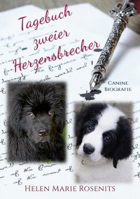 Tagebuch zweier Herzensbrecher - Helen Marie Rosenits - E-Book