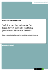 Sanktion des Jugendarrests. Der Jugendarrest aus Sicht straffällig gewordener Heranwachsender - Hannah  Zimmermann - E-Book