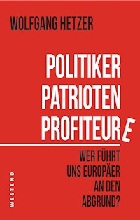 Politiker, Patrioten, Profiteure - Wolfgang Hetzer - E-Book