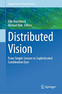 Distributed Vision -  - E-Book