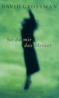 Sei du mir das Messer - David Grossman - E-Book
