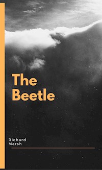 The Beetle - Marsh Richard - E-Book