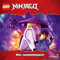 Folge 206: Was zusammenpasst -  - Hörbuch