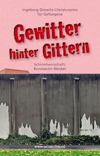 Gewitter hinter Gittern - Slim Bedoui - E-Book