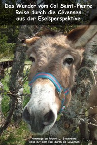 Das Wunder vom Col Saint-Pierre - Sandra Dittrich - E-Book
