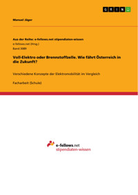 Voll-Elektro oder Brennstoffzelle. Wie fährt Österreich in die Zukunft? - Manuel Jäger - E-Book