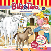 Bibi & Tina, Folge 100: Das Waisenfohlen - Matthias von Bornstädt - Hörbuch