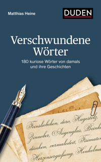 Verschwundene Wörter - Matthias Heine - E-Book