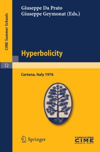 Hyperbolicity -  - E-Book