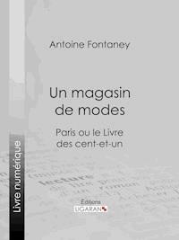 Un magasin de modes - Antoine Fontaney - E-Book
