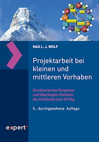 Projektarbeit bei kleinen und mittleren Vorhaben - Max  L. J. Wolf - E-Book