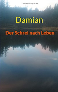 Damian - Adrian Baumgartner - E-Book