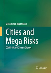 Cities and Mega Risks - Mohammad Aslam Khan - E-Book